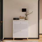 Meuble à Chaussures avec 2 Tiroirs Basculants, Meuble à Chaussures Étroit et Discret, Organisateur de Chaussures Autonome pour Couloir, Salon, Appartement